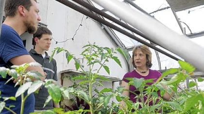 Alice Julier tours a greenhouse at Eden Hall Farm with Mikal Merlina, left, owner of the rhizosphere LLC (a local/organic food consulting and marketing firm), and Dan Dalton, a graduate student at the University of Pittsburgh.