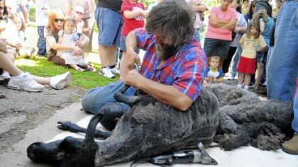 Dean Sherwin, owner of a sheep and goat farm in Mount Pleasant, demonstrates sheep shearing at Round Hill Park in Elizabeth Township.