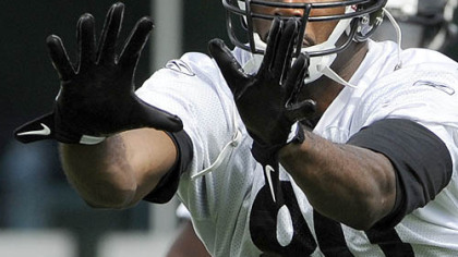 Steelers Limas Sweed pulls in a pass at minicamp Saturday.