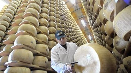 Quality control checks a wheel at the Parmigiano-Reggiano storehouse in Bibbiano, Italy. Whole Foods in Shadyside joins in on the cheesy fun Saturday when it cracks open a 24-month-old wheel.