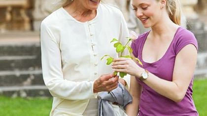 Vanessa Redgrave and Amanda Seyfried star in "Letters to Juliet."