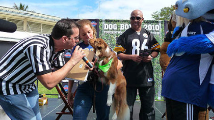 Hines Ward looks on as the runner-up dog from Thursday's Dog Bowl is attended to. Ward was a host at Dog Bowl 2010: Touchdown Treats Championship, presented by Hill's Science Diet.