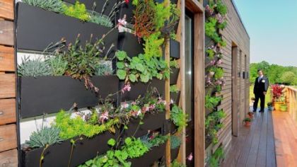 A vertical garden is a feature of one side of the Bayer Material Science EcoCommericial Building Conference Center at the company's Robinson headquaters.