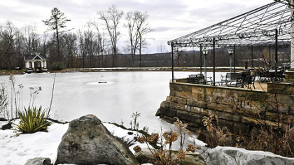 A view of the pond from near the outdoor patio.