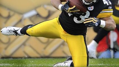 Steelers safety Troy Polamalu was hampered by knee injuries last season.