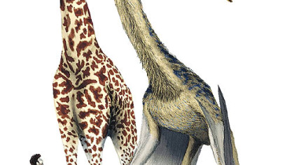 The pterosaur was a flying reptile as tall as a giraffe and with a 34-foot wingspan that existed 100 million to 65 million years ago.