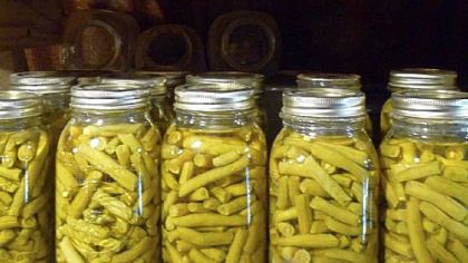 Canned beets and beans in the Fullmer family root cellar in Arthurdale, West Virginia.