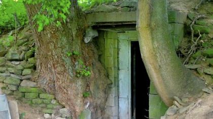 The old root cellar at Eden Hall Farm in Richland is being studied and restored by Chatham University. Over time, the flanking trees crumbled the root cellar's vestibule, now removed.