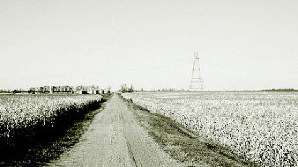 A cornfield near Alice, N.D., where Steinbeck supposedly camped overnight and met an itinerant Shakespearean actor in October 1960.
