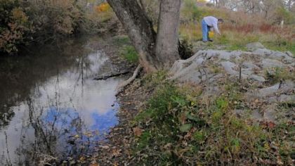 Volunteers start work to create the Dragonfly Interpretive Trail in North Park. Volunteer Mary Bates of McCandless spreads wetland seeds near the North Fork tributary of Pine Creek.