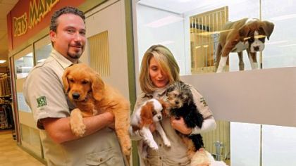 Eric and March Caplan hold some of the last non-shelter puppies they have for sale at their Petland store in East Liberty. Once these puppies have been sold, the store will only have shelter dogs and kittens for sale.
