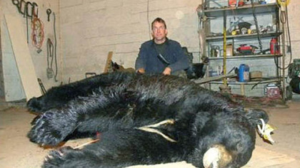 Bow hunter David Price bagged Bozo, the heaviest black bear on record in the state, near Fernwood Resort. Bozo, however, had been amply fed by humans.