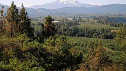 A view of Hood River Valley and Mt. Hood from a panoramic lookout on East Side Road just south of Hood River off Highway 35.