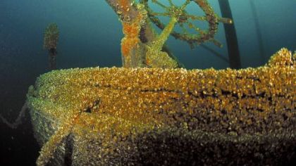 Dislodged wheel on the stern of the Schooner C.B. Windiate, which sank in November 1875 in northwestern Lake Huron after leaving Milwaukee for Buffalo. Of an estimated 8,000 shipwrecks in the Great Lakes, about 2,000 are at the bottom of Lake Erie. Most have never been explored.