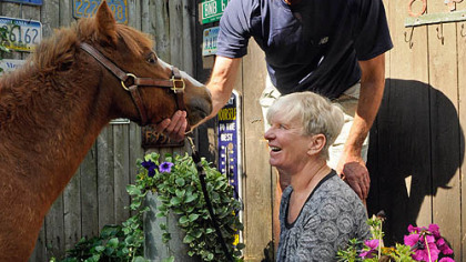 Nada and Fred Sarkin with their miniature horse, Corky.
