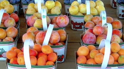 Fruit baskets.