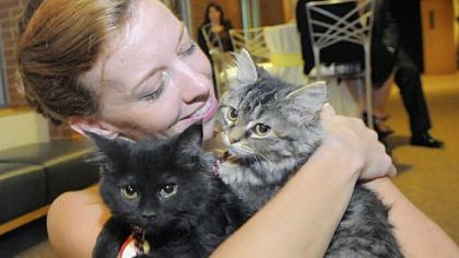 Victoria Martin and two kittens her boyfriend adopted at Animals Friends Black Tie & Tails gala