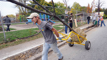 Justin Hynicka, of the Nine Mile Run Watershed Association, moves a tree to be planted on Sunday in Wilkinsburg's Holmes Park.