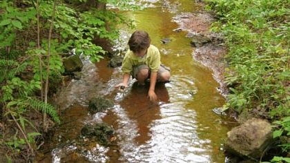 A boy explores a stream in the Memphis Botanic Garden.  Terra Design Studios, which planned this garden in Memphis, intends to create a similar one here.
