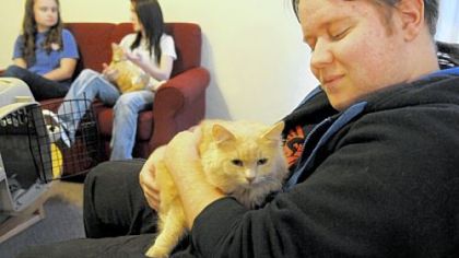 Junior Jeremy Boughman, 21, of Lancaster, Ohio, craddles his cat Setsuna in the lobby of Monroe Hall at Washington & Jefferson College. The school has designated Monroe Hall as a pet-friendly dorm.