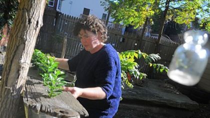 Artist Rose Clancy with a sculpture she's creating using young living tangerine trees.