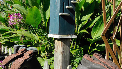 Boots now too small for Nada and Fred Sarkin's grandchildren decorate fences in their rural garden.