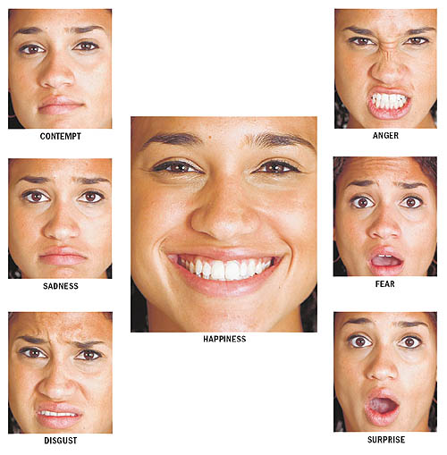 7 universal emotions